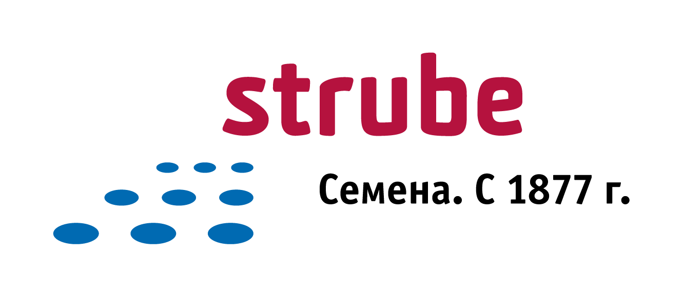 Strube - Россия